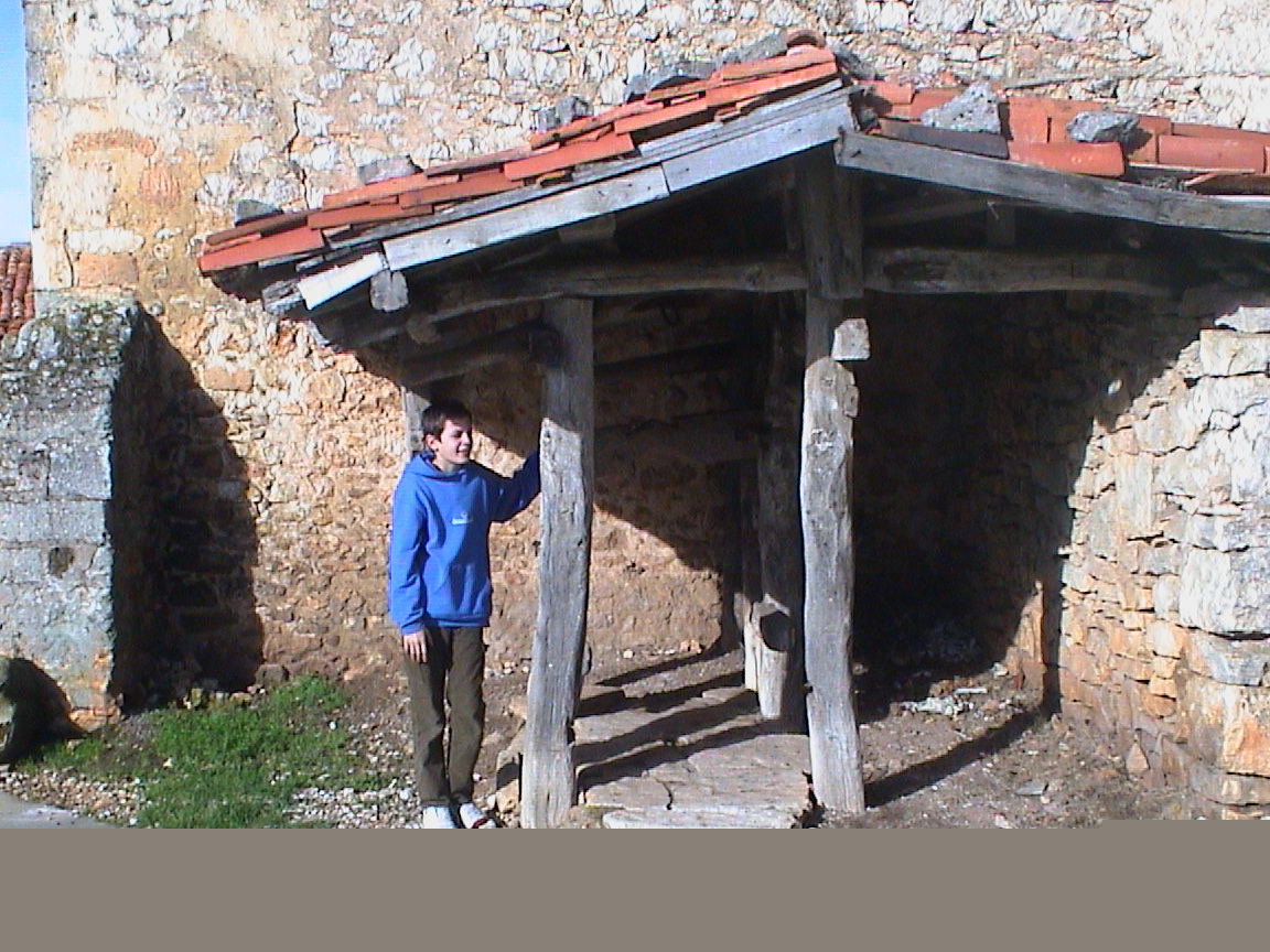 Potro